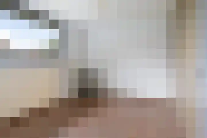van den Houtestraat 4 Rucphen thumbnail 28