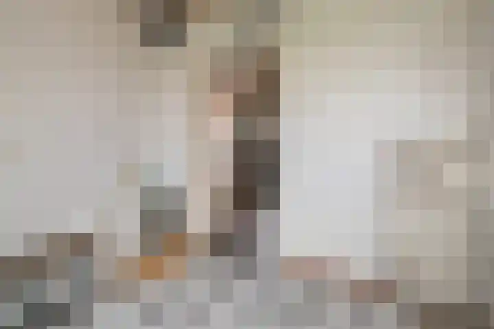 van den Houtestraat 4 Rucphen thumbnail 33