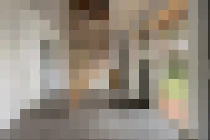 van den Houtestraat 4 Rucphen thumbnail 34