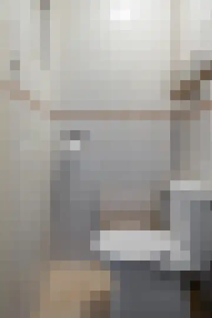 van den Houtestraat 4 Rucphen thumbnail 35