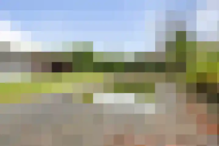 van den Houtestraat 4 Rucphen thumbnail 44