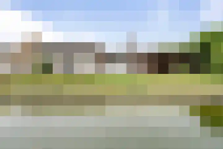 van den Houtestraat 4 Rucphen thumbnail 45