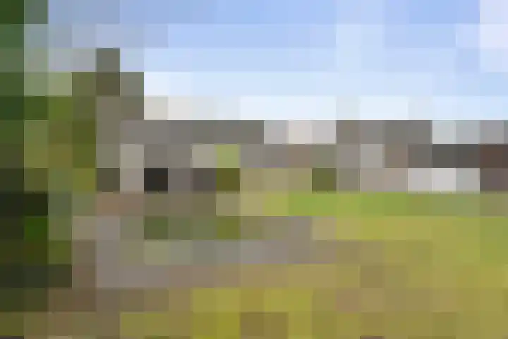 van den Houtestraat 4 Rucphen thumbnail 46