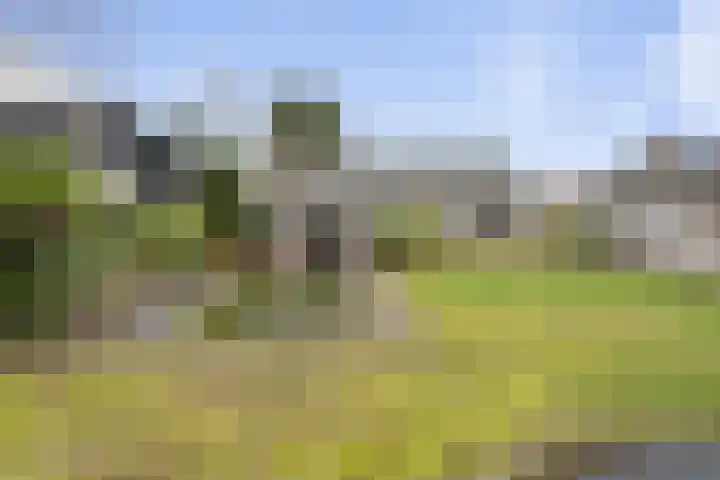 van den Houtestraat 4 Rucphen thumbnail 47