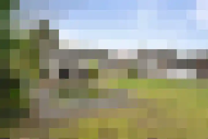 van den Houtestraat 4 Rucphen thumbnail 5