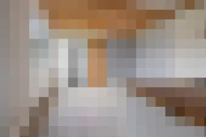 van den Houtestraat 4 Rucphen thumbnail 6