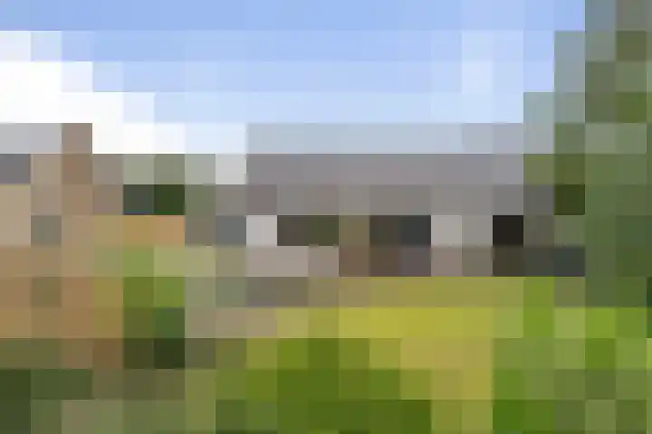 van den Houtestraat 4 Rucphen thumbnail 8