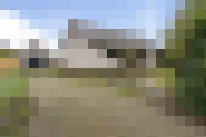 van den Houtestraat 4 Rucphen thumbnail 9