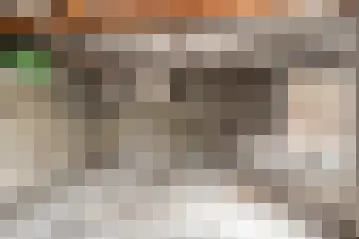 Van den Houtstraat 12 Made thumbnail 12