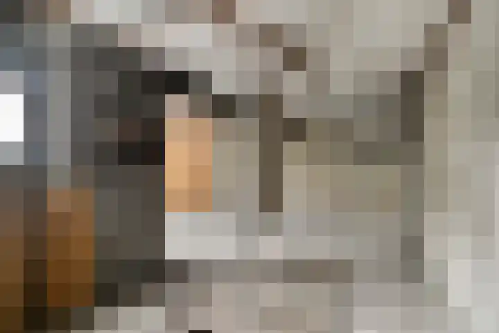 Van den Houtstraat 12 Made thumbnail 14