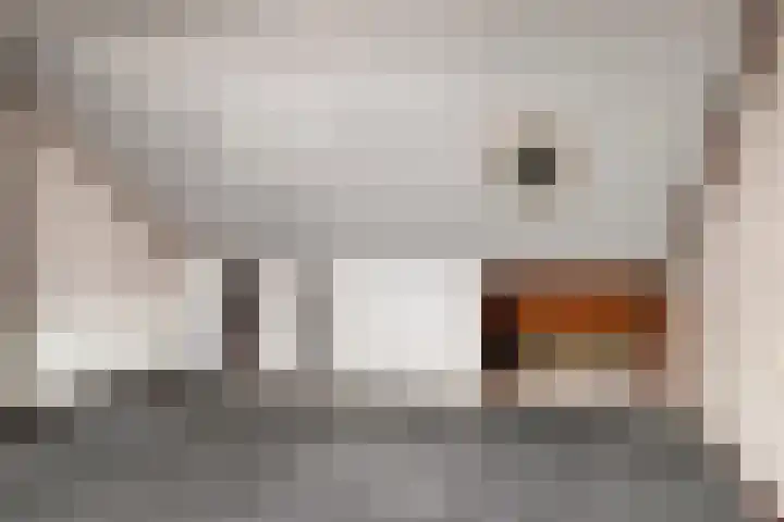 Van den Houtstraat 12 Made thumbnail 31