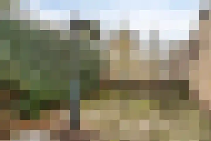 Van den Houtstraat 12 Made thumbnail 33