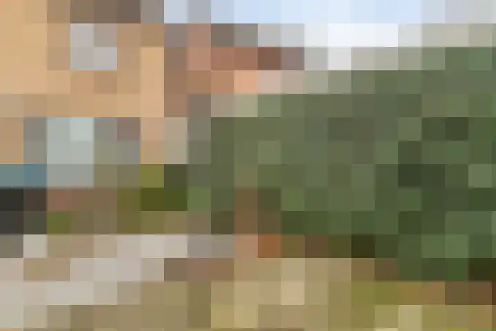 Van den Houtstraat 12 Made thumbnail 35