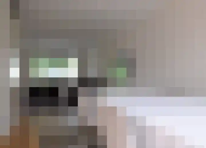 Van den Hovestraat 23 Bocholtz thumbnail 5