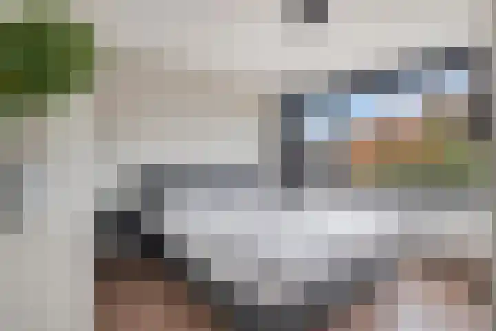 van den Hummelstraat 19 Loon op Zand thumbnail 17