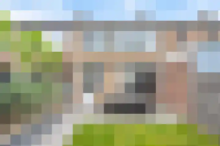 van den Hummelstraat 19 Loon op Zand thumbnail 22