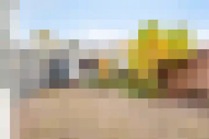 van den Hummelstraat 54 Loon op Zand thumbnail 20
