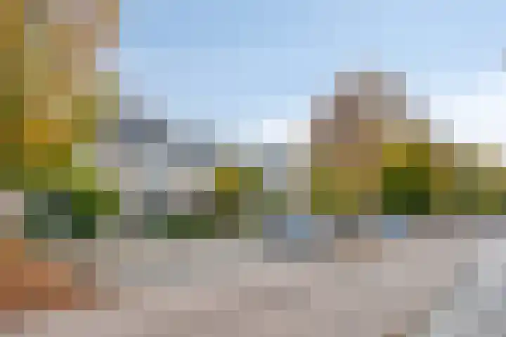 van den Kerkhoffstraat 15 Sint-Michielsgestel thumbnail 4