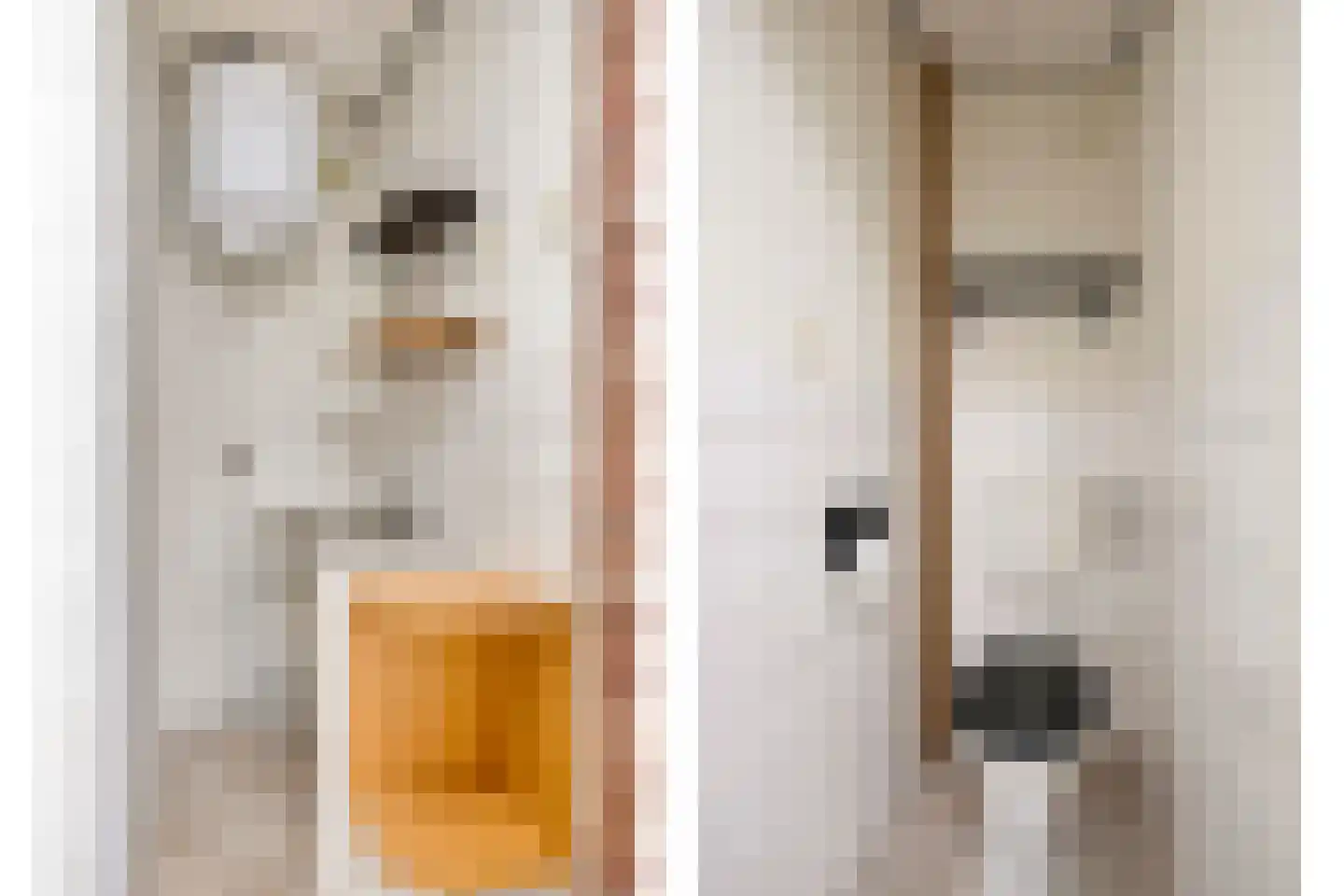 van den Kerkhoffstraat 18 Sint-Michielsgestel thumbnail 42