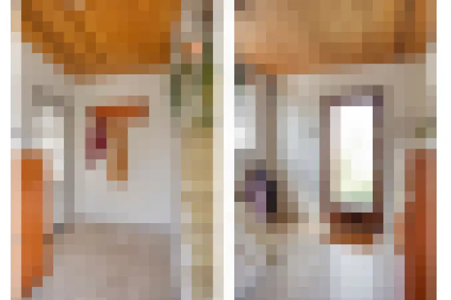 van den Kerkhoffstraat 18 Sint-Michielsgestel thumbnail 5