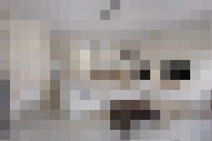 Van den Oosterkamperf 1 Veenendaal thumbnail 10