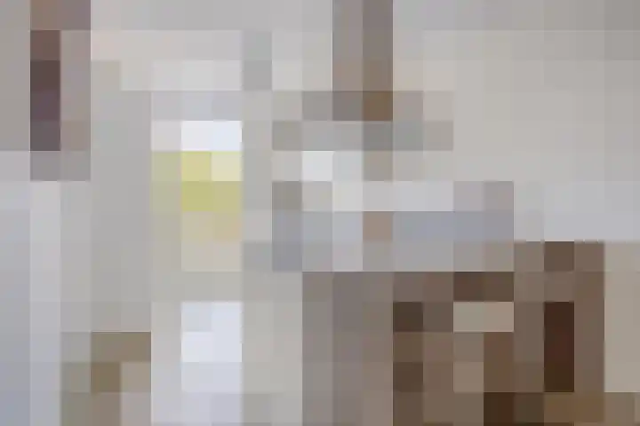 Van den Oosterkamperf 1 Veenendaal thumbnail 12
