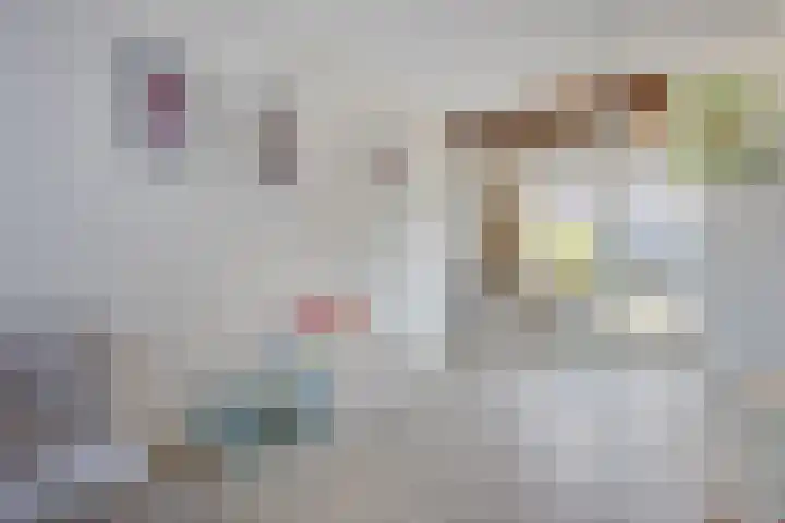Van den Oosterkamperf 1 Veenendaal thumbnail 16