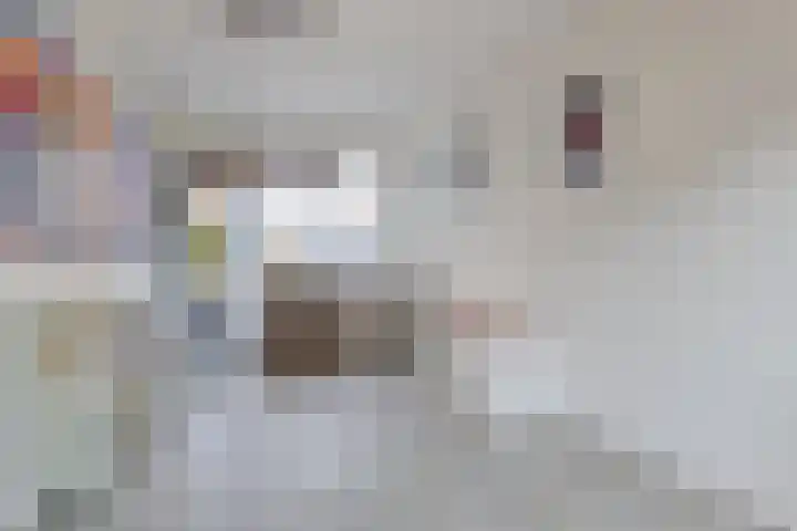 Van den Oosterkamperf 1 Veenendaal thumbnail 17