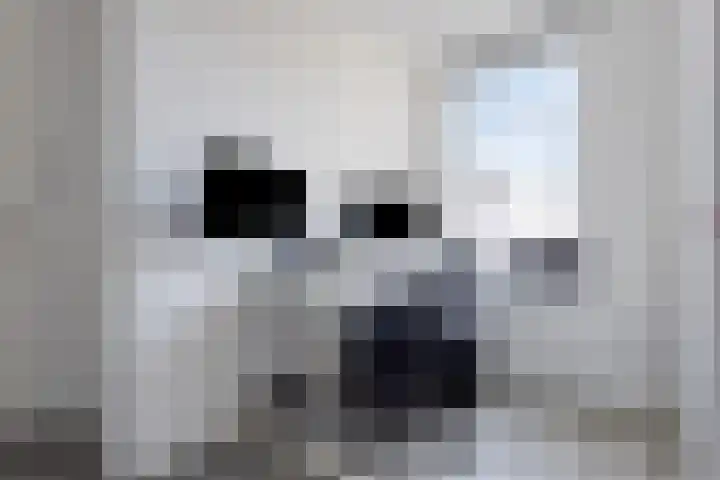Van den Oosterkamperf 1 Veenendaal thumbnail 23