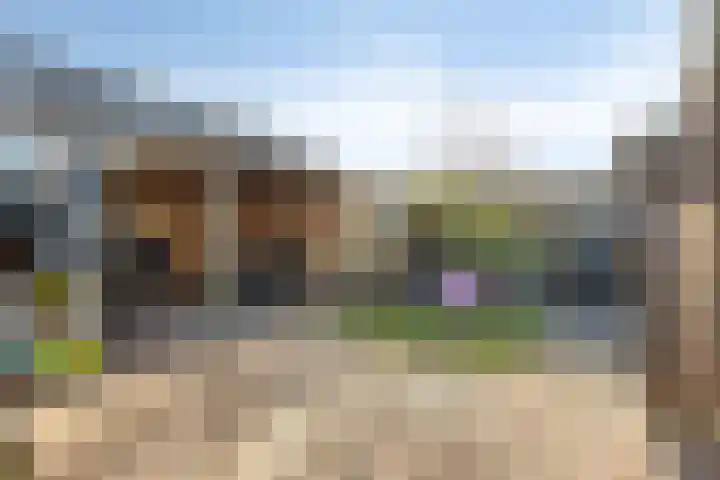 Van den Oosterkamperf 1 Veenendaal thumbnail 28