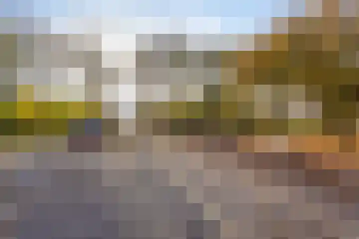 Van den Oosterkamperf 1 Veenendaal thumbnail 34