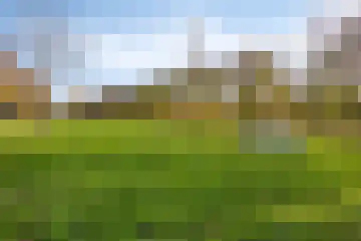 Van den Oosterkamperf 1 Veenendaal thumbnail 35