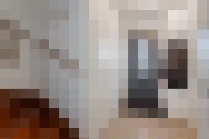 Van den Oosterkamperf 1 Veenendaal thumbnail 6