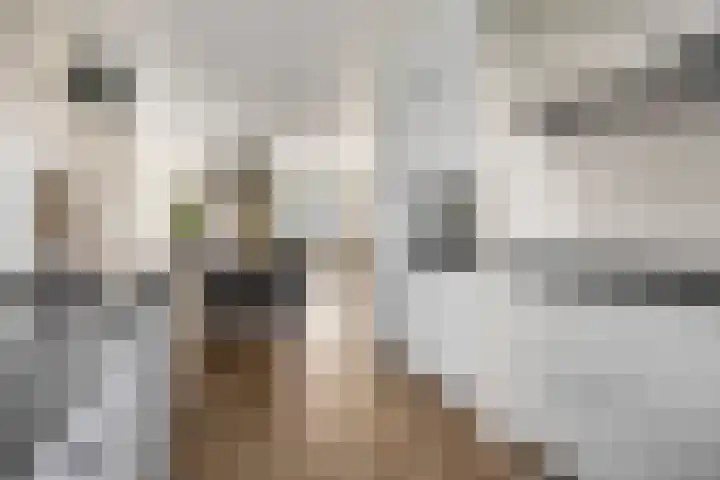 Van den Oosterkamperf 5 A Veenendaal thumbnail 20