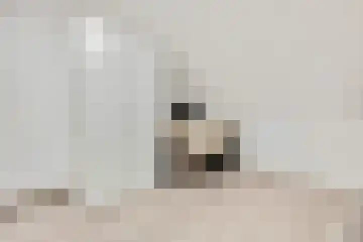 Van den Oosterkamperf 5 A Veenendaal thumbnail 37