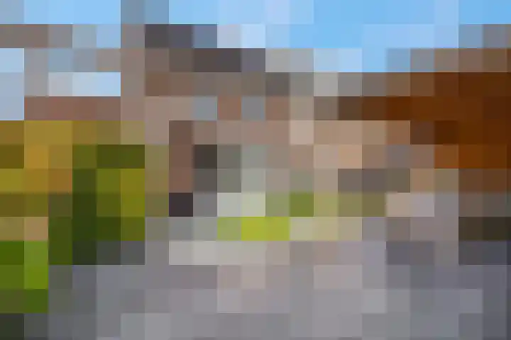 Van den Oosterkamperf 5 A Veenendaal thumbnail 41