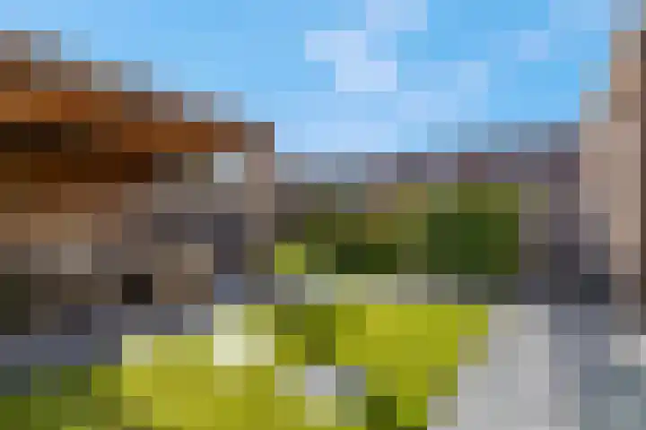 Van den Oosterkamperf 5 A Veenendaal thumbnail 45