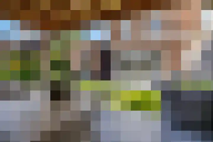 Van den Oosterkamperf 5 A Veenendaal thumbnail 47