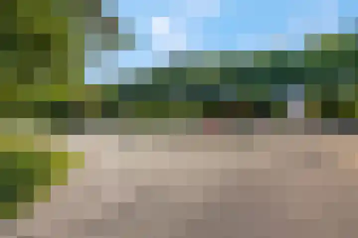 Van den Oosterkamperf 5 A Veenendaal thumbnail 60