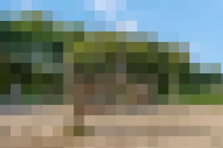 Van den Oosterkamperf 5 A Veenendaal thumbnail 61