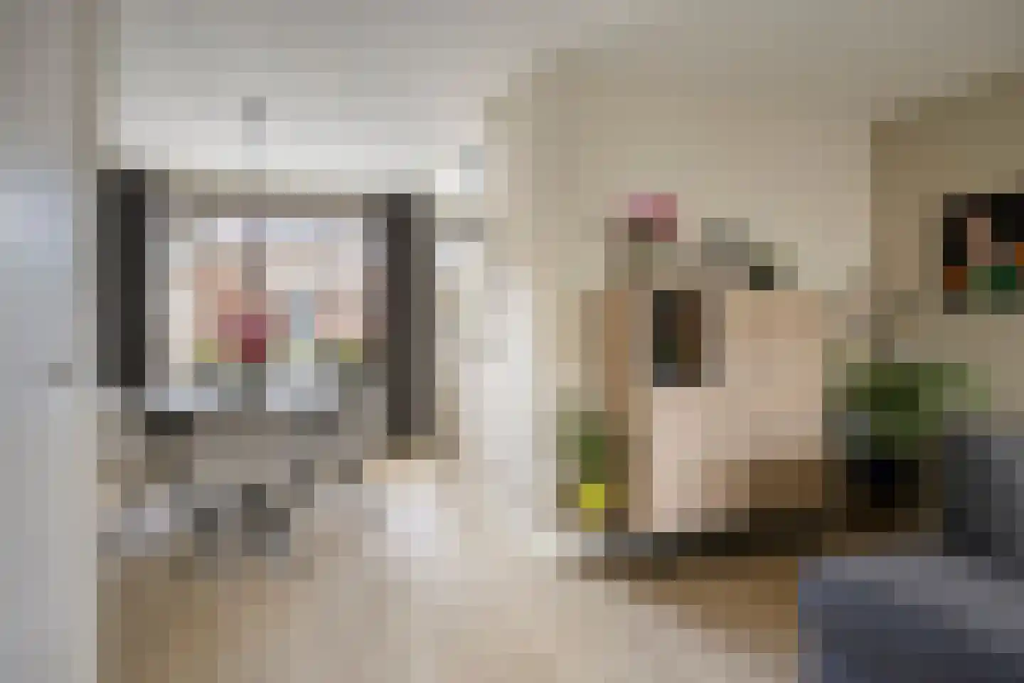 van den Poelstraat 35 Geertruidenberg thumbnail 12