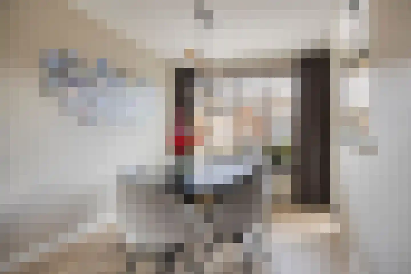 van den Poelstraat 35 Geertruidenberg thumbnail 13
