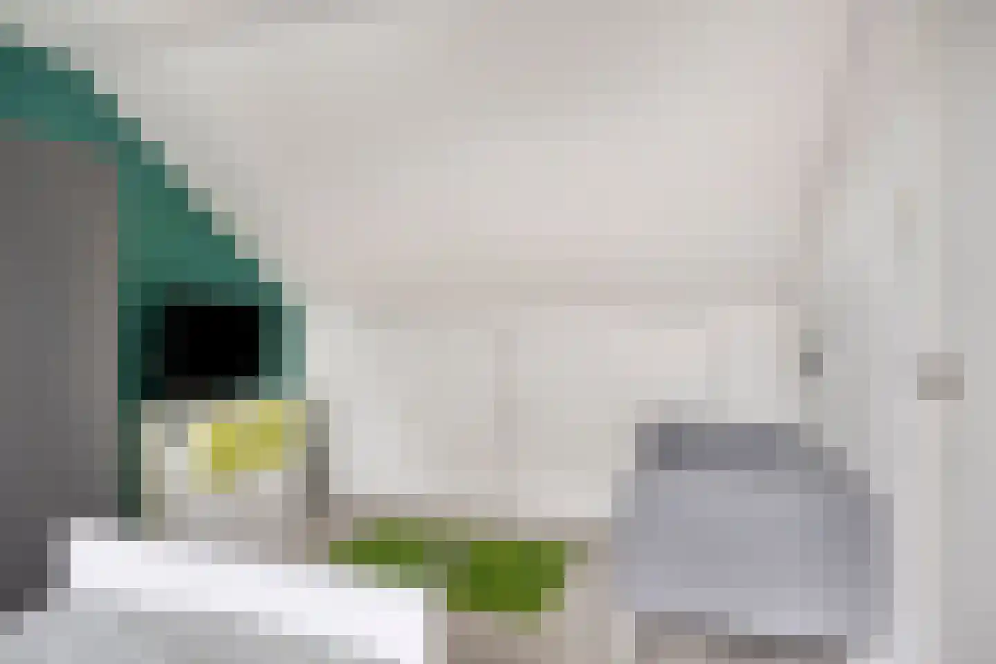 van den Poelstraat 35 Geertruidenberg thumbnail 32