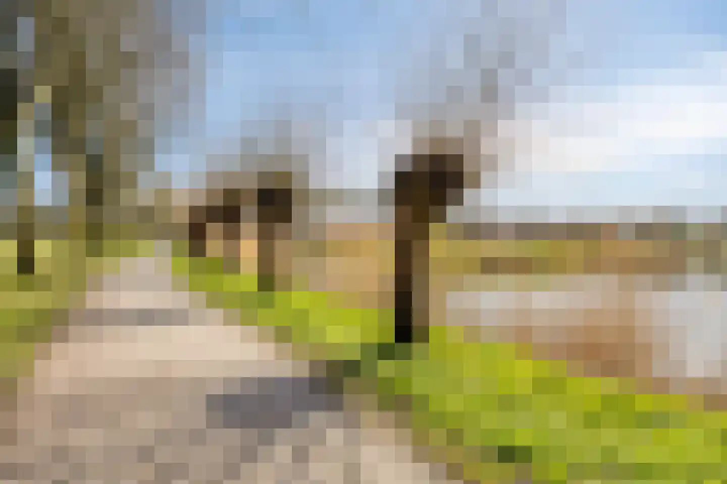 van den Poelstraat 35 Geertruidenberg thumbnail 44