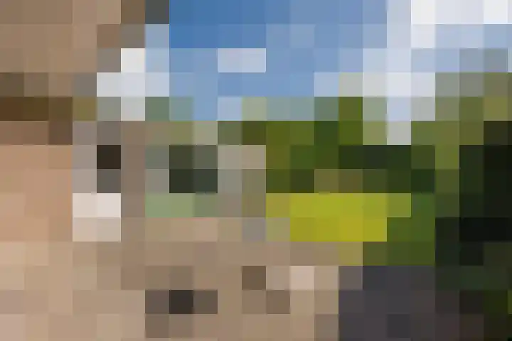Van den Steen van Ommerenstraat 15 Nijkerk thumbnail 21