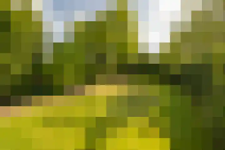 Van den Steen van Ommerenstraat 15 Nijkerk thumbnail 22