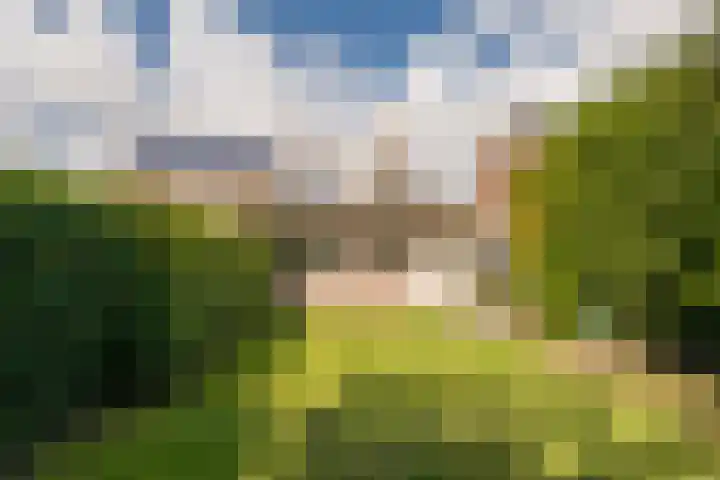 Van den Steen van Ommerenstraat 15 Nijkerk thumbnail 24