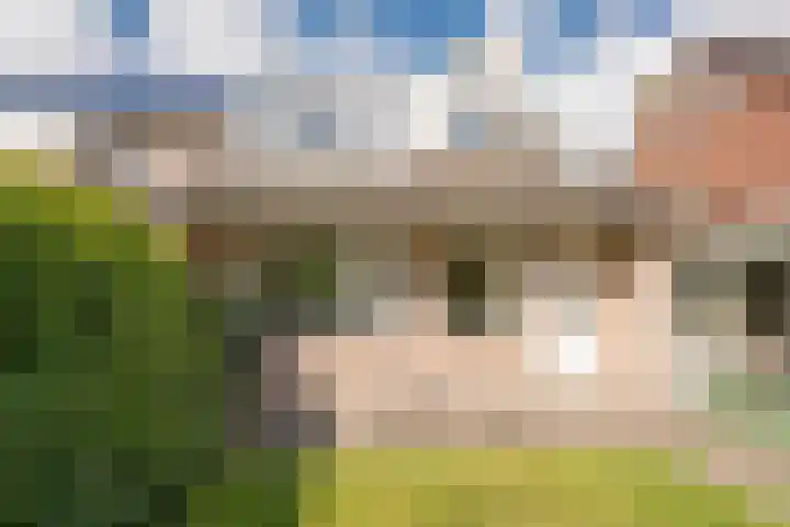 Van den Steen van Ommerenstraat 15 Nijkerk thumbnail 25