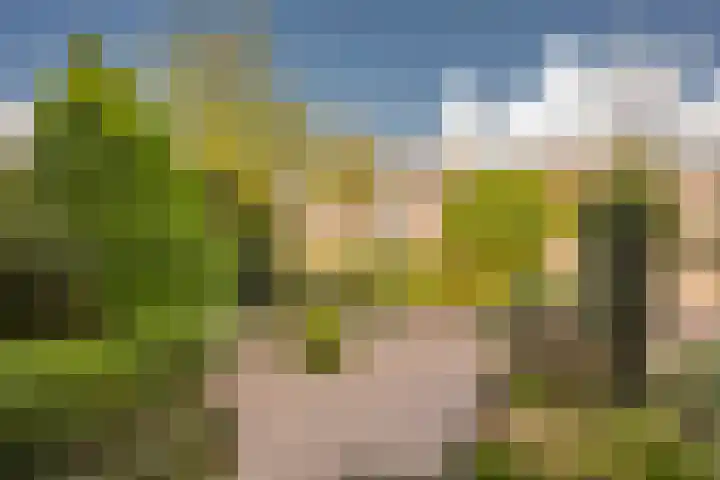 Van den Steen van Ommerenstraat 15 Nijkerk thumbnail 29