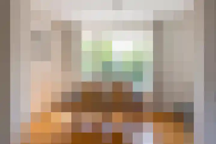 Van den Steen van Ommerenstraat 15 Nijkerk thumbnail 6